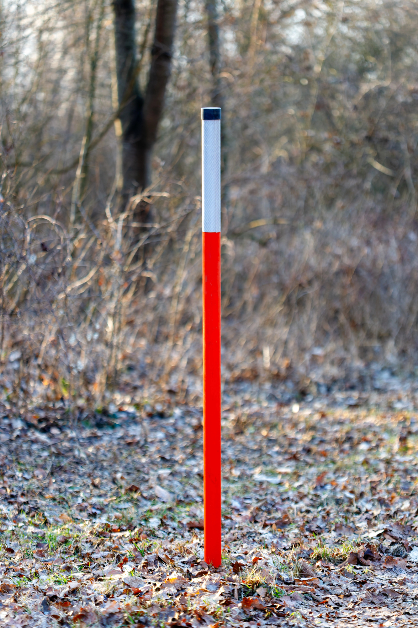 height marker height marker
